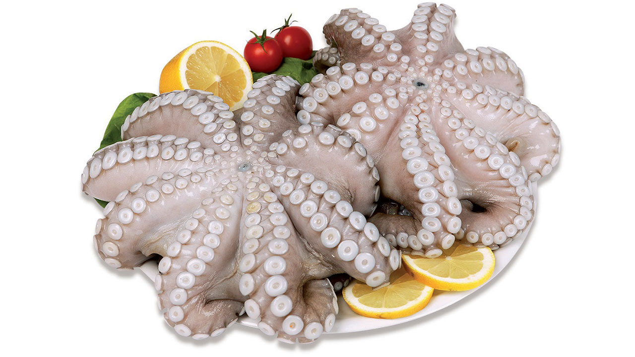 pesce polpo